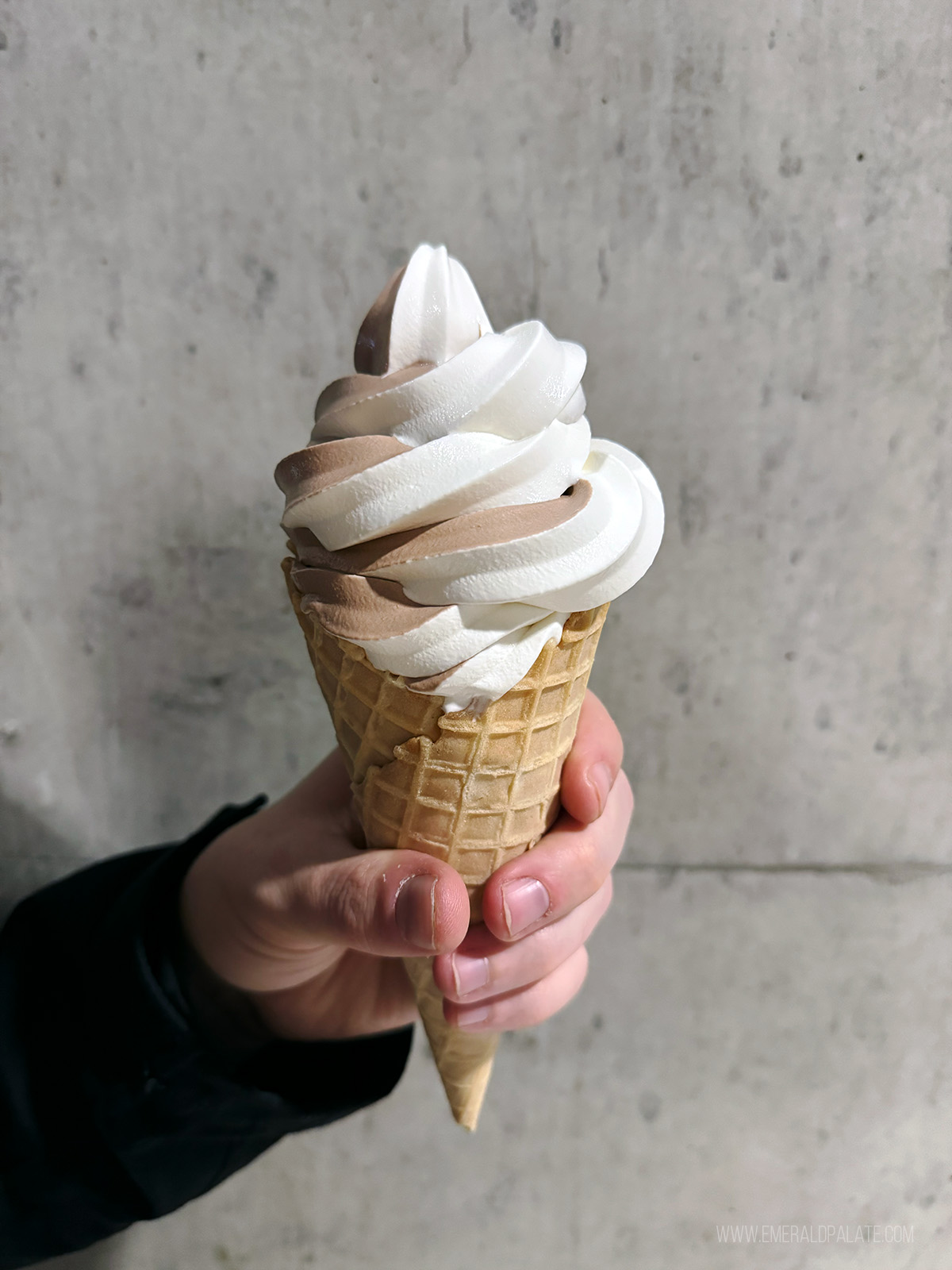 soft serve twist ice cream person holding soft serve twist ice cream in a cone
