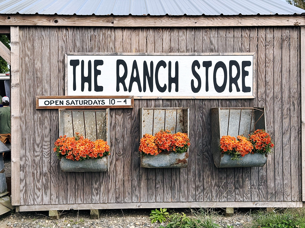 farm store, one of the best things to do in Lynden WA