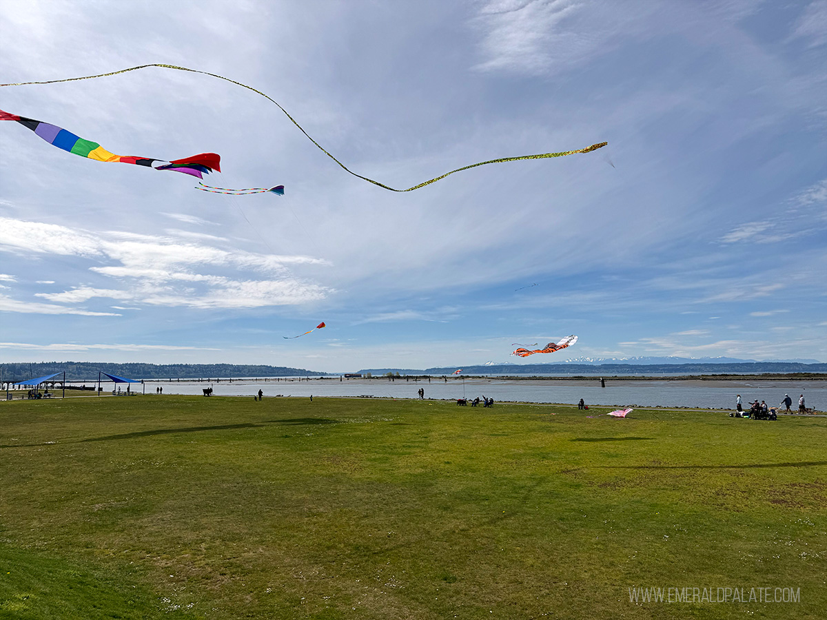kites flying through Boxcar Park in Everett