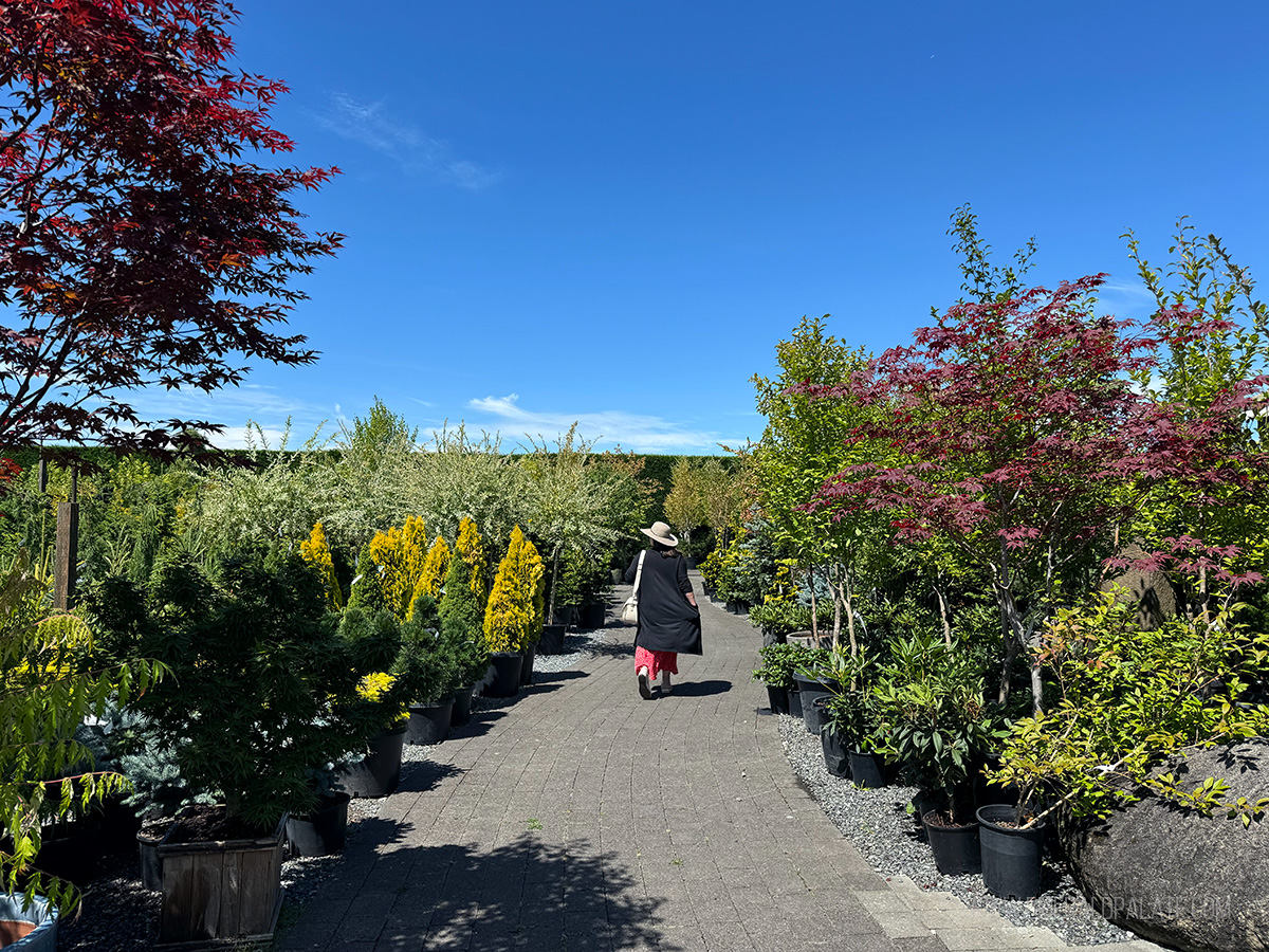 woman walking through a plant nursery in Snohomish
