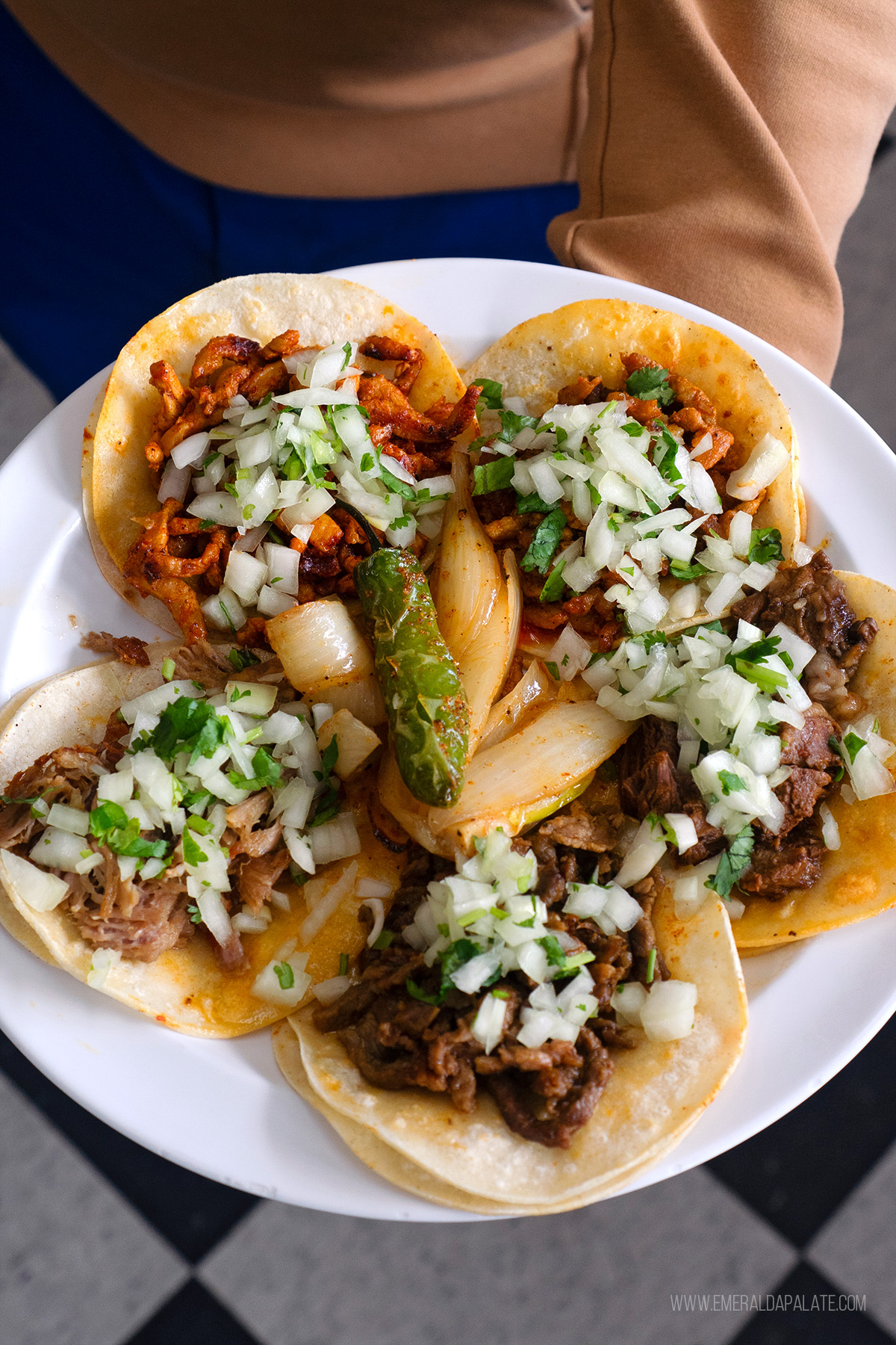 person holding a plate of 5 street tacos from one of the best restaurants in Lynnwood