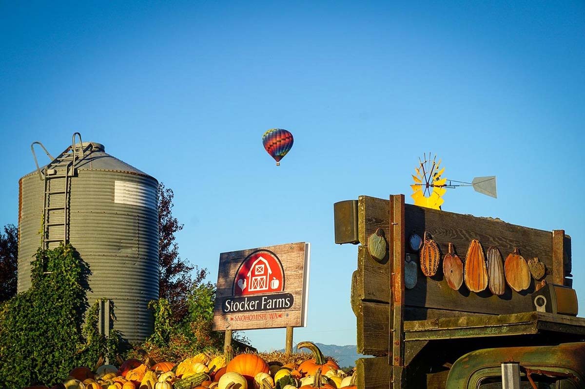 hot air balloon over a farm in Snohomish County