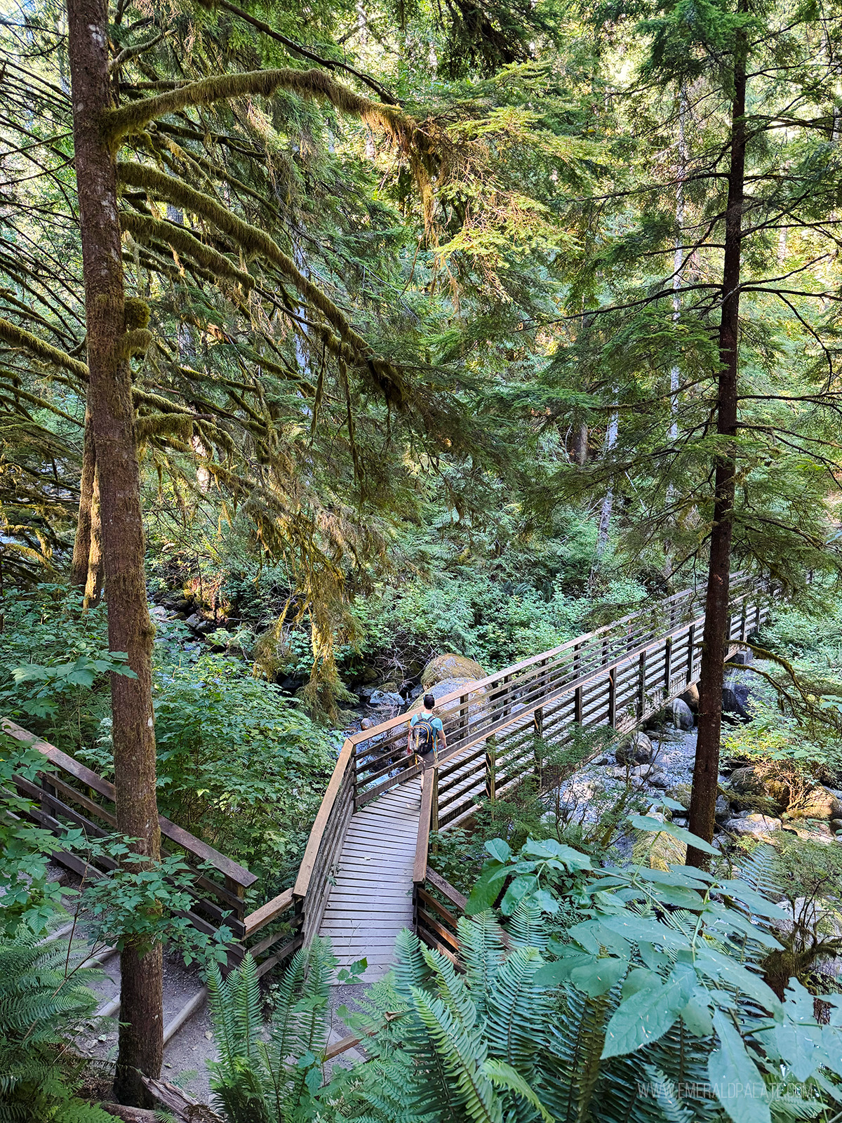 man hiking over a wooden bridge through the forest at Wallace Falls State Park