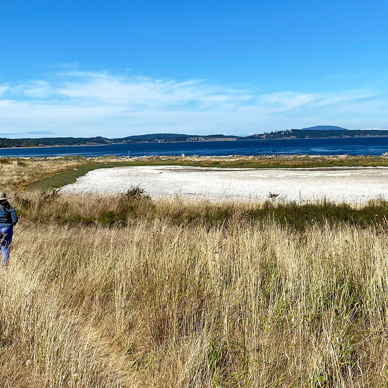 30 Things to Do in San Juan Islands for Every Type of Traveler