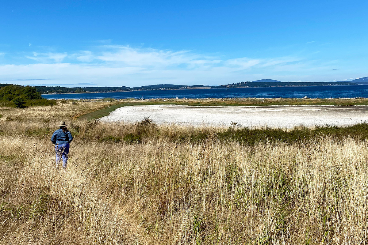 Jaks Lagoon, one of the best things to do in San Juan Islands
