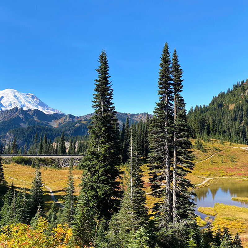 The Ultimate Washington State Bucket List: Ideas From a Local