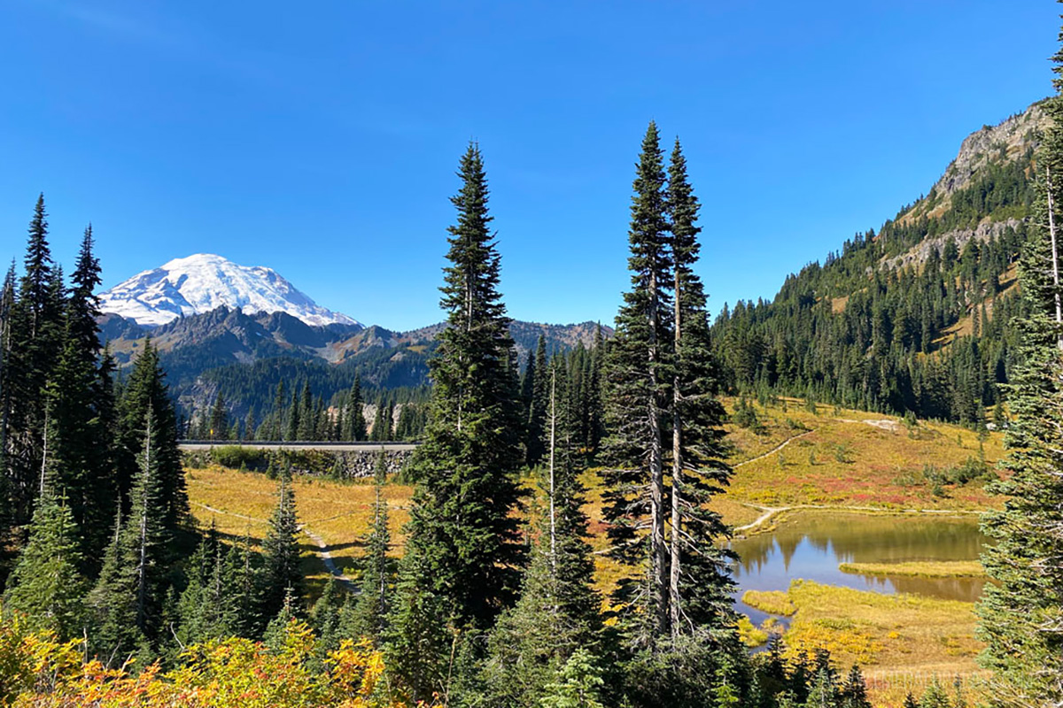 Washington State Bucket List: Mt Rainier